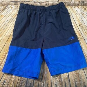 The North Face Blue Flashdry Swim Trunks Shorts
